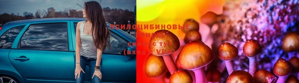 мдпв Сясьстрой